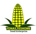 Yonas Teshome Seed Enterprise